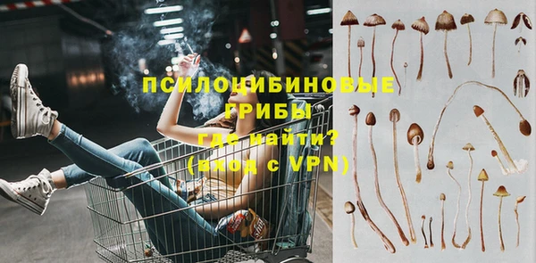 ПСИЛОЦИБИНОВЫЕ ГРИБЫ Алексин