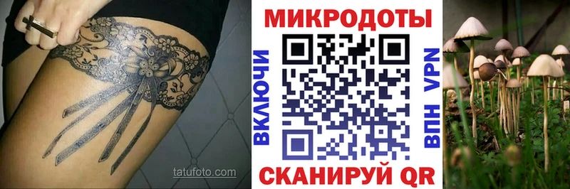 Псилоцибиновые грибы Psilocybine cubensis  Павловская 