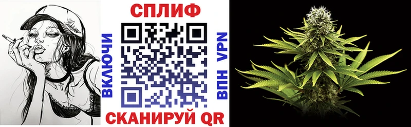 Шишки марихуана конопля блэк спрут зеркало Павловская
